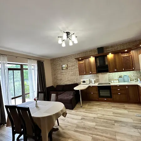 Apartment кульбаба Village Polyana (Transcarpathia)